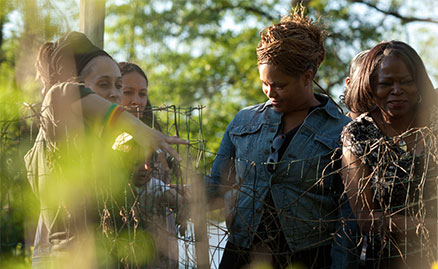 Group of African American women exploring Healcrest Urban Farm in the warm evening sunlight. Healcrest is located in the East End of Pittsburgh.